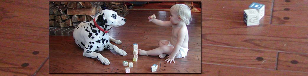 Child and companion enjoy a radiant heated wood floor