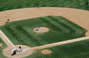 Literal Ballpark, illustrating the metaphor for the Ball-park Estimates we will provide for Free!