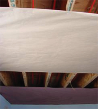 Paper backing Paper backing