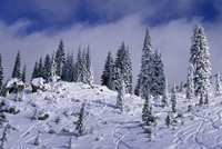 Visit Radiantec in the Winter